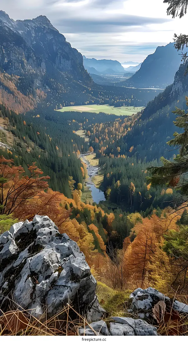 mountain valley with river and colorful trees in autumn
