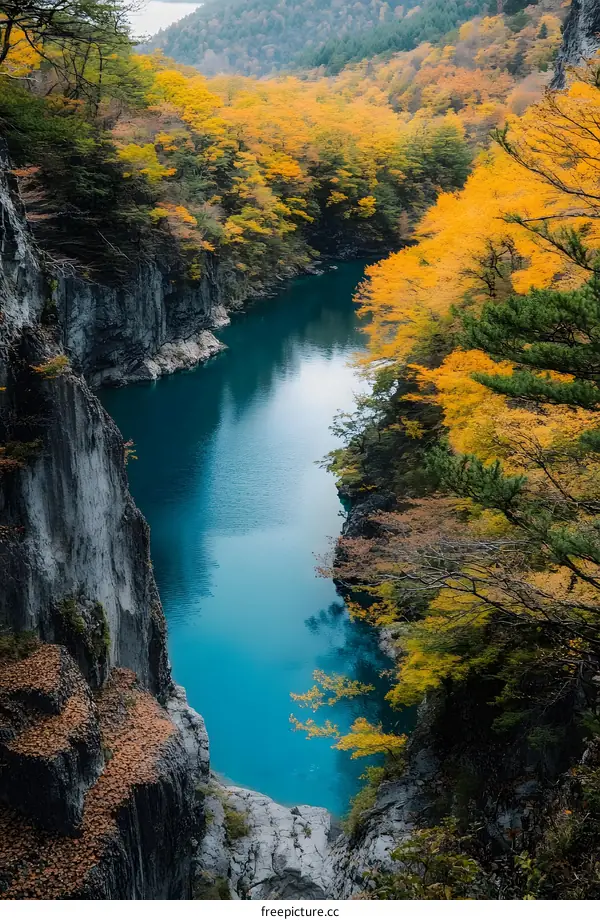 Autumn Colors Reflecting in a Turquoise Lake