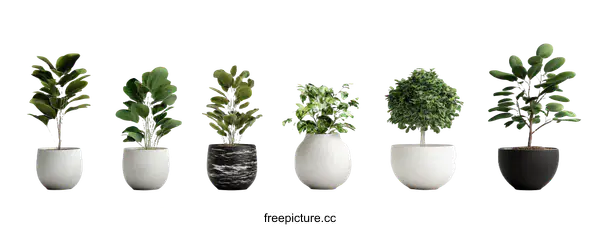 [Transparent Background PNG]Arrangement of indoor plants in various pots
