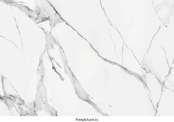 Elegant White Marble Texture For Interior Home Decor