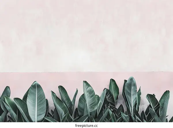 Green Leaves Against Pink Wall