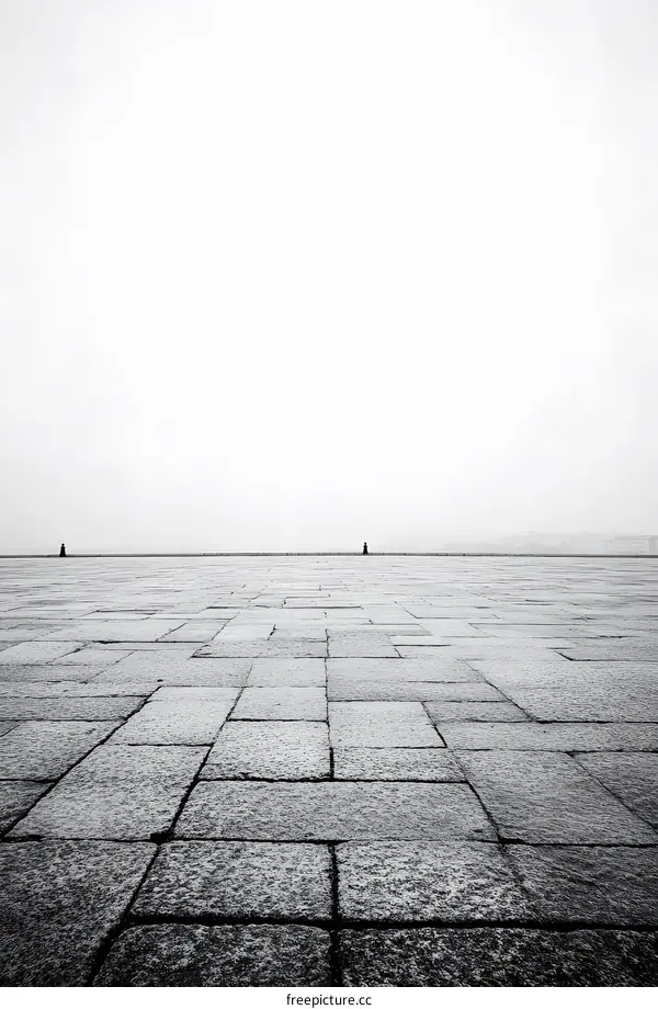 Black and White Photo of Stone Pavement Leading to the Horizon