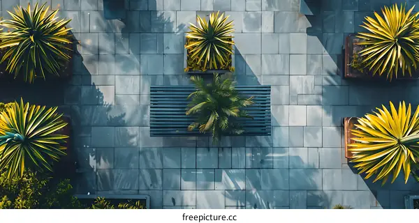 Aerial View of a Patio with Palm Trees and a Bench