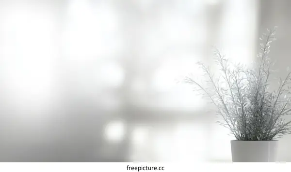 Modern Minimalist Interior Plant Image