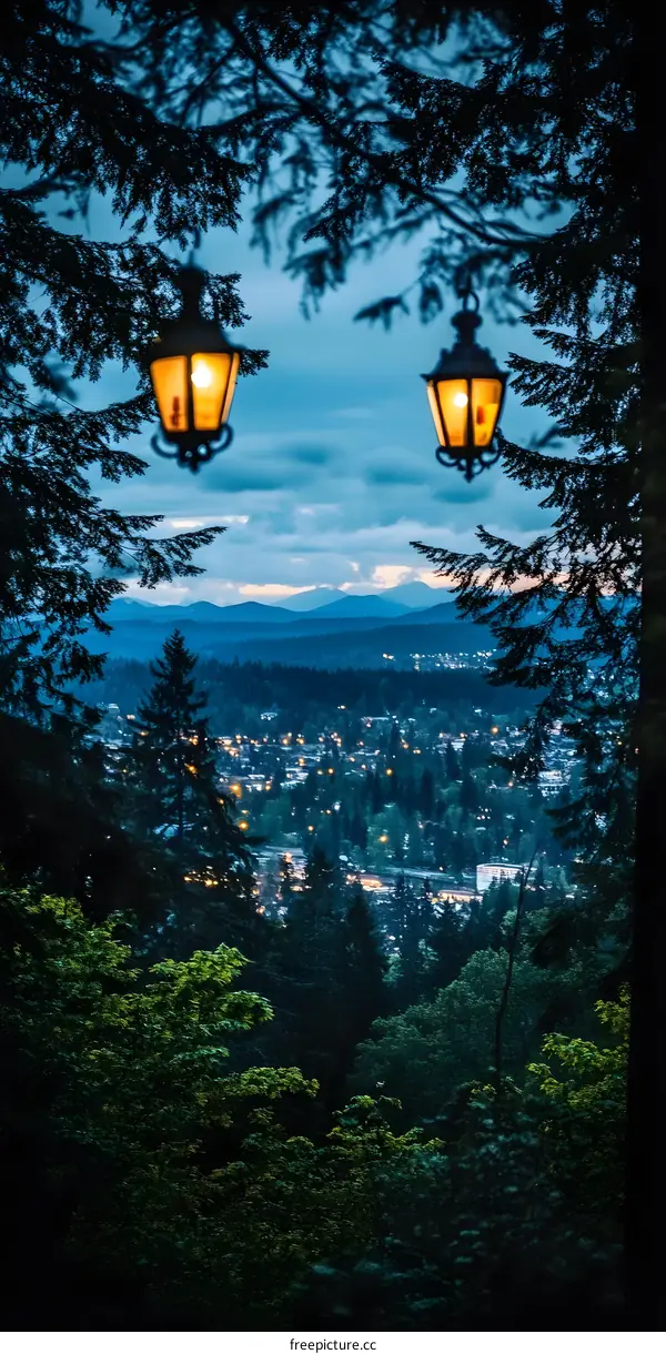 Night View of City Lights Through Trees