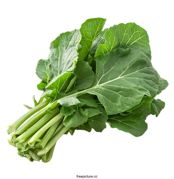 [Transparent Background PNG]Fresh Collard Greens on White Background