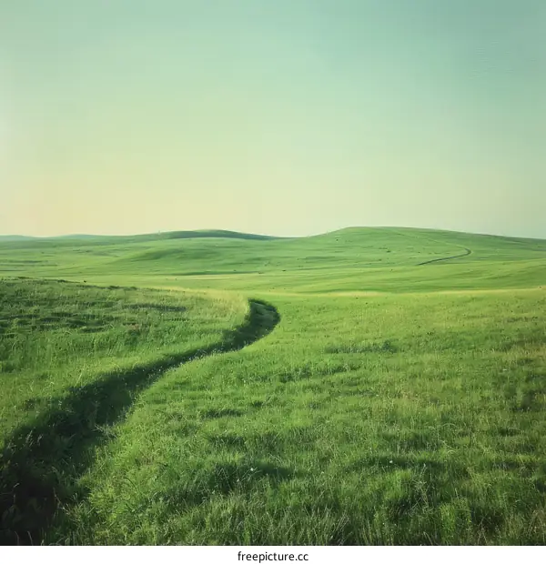 The Beauty of Nature