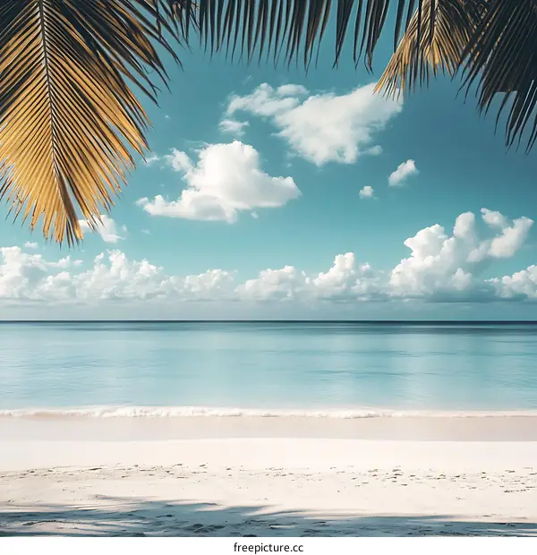 Tropical Beach View With Palm Tree Leaves In The Foreground