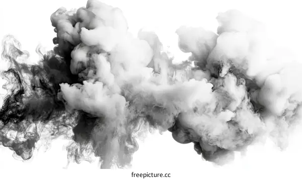 Abstract Ink Blot Painting in Grayscale