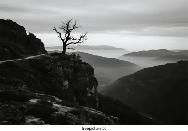 Lone Tree Standing Amidst Misty Mountain Peaks