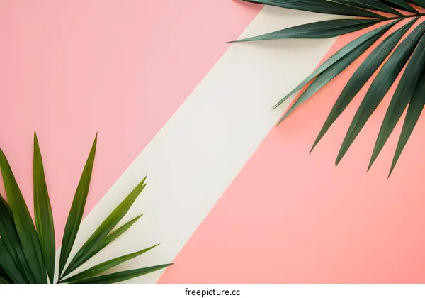 Tropical Leaves on Pink and White Background