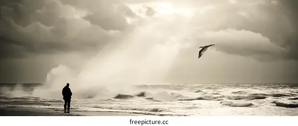 Man Standing on Beach Watching Seagull Fly During Stormy Weather