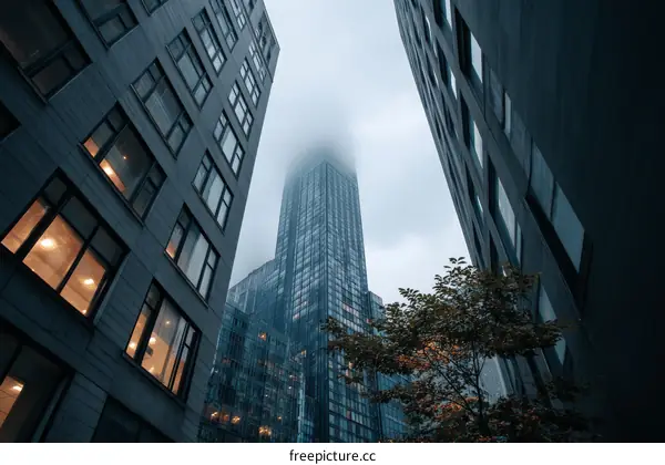 Modern Skyscrapers in a Cityscape at Dawn