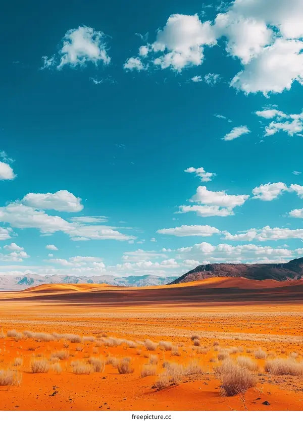 Huge sand dunes in the middle of the desert