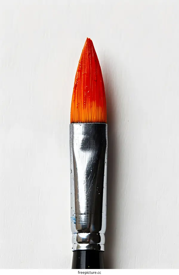 Close Up of a Paintbrush Tip