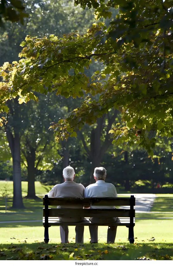 Two Senior Men Sitting On A Bench In A Park
