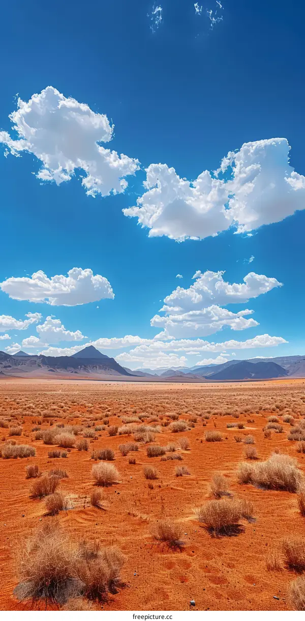 A vast desert landscape with mountains in the distance