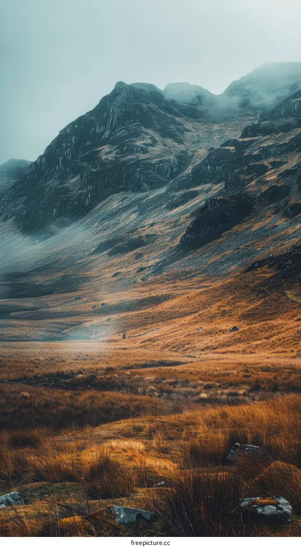 Mountains and a valley covered with yellow grass under a white sky