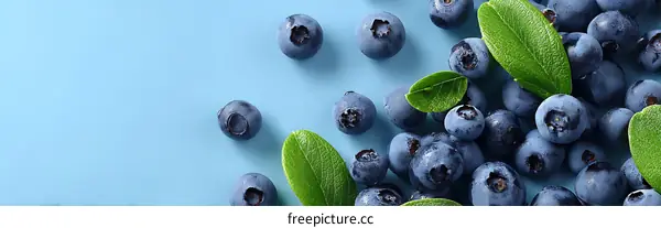 Fresh Blueberries with Leaves on Light Blue Background