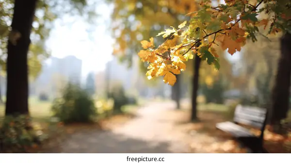 Autumn Park Scene with Golden Leaves