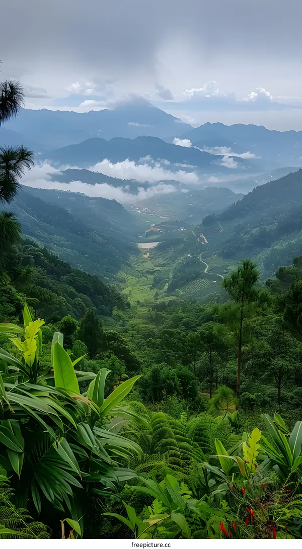 A lush green valley with clouds and mountains in the distance