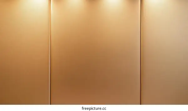 Modern Gold Tone Display Panel