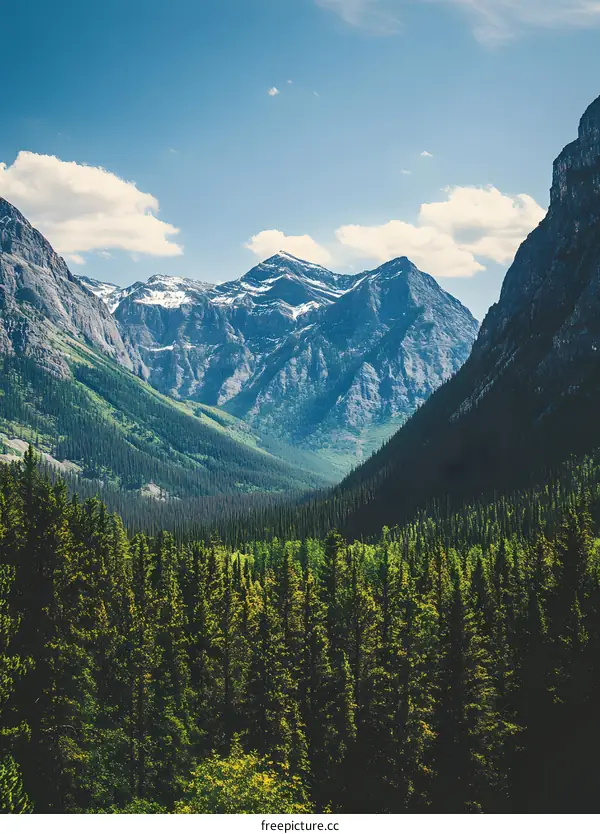 Mountain Range With Snow Capped Peaks And Pine Trees