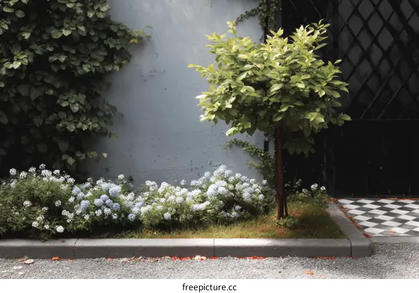 Charming Backyard Garden Exterior View with Small Tree