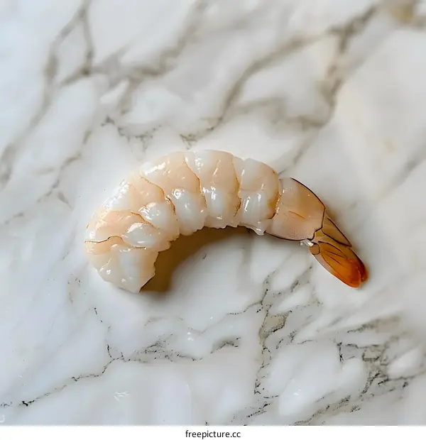 A raw prawn on a marble slab