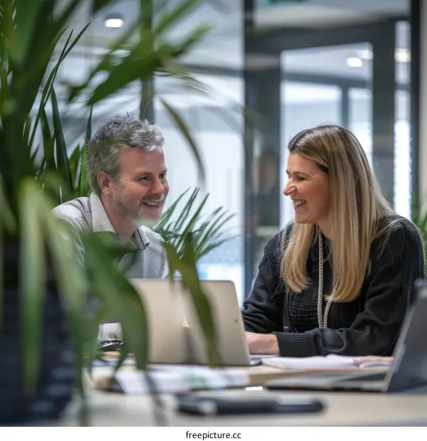 Two business people having a meeting in an office