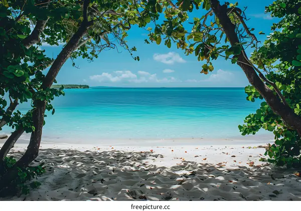 Tropical paradise beach with white sand and turquoise water