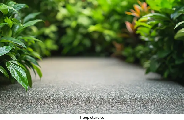 Outdoor Pathway with Lush Greenery