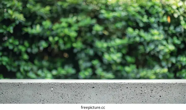 Gray Concrete Surface with Blurry Green Background
