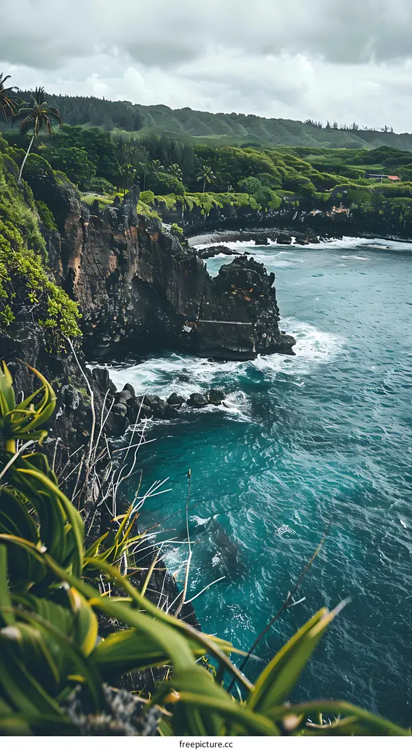 Ocean Cliffside View with Lush Green Foliage