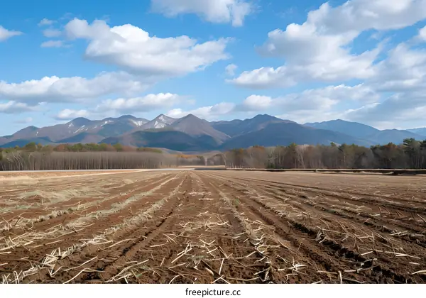 soil texture in farmland with mountain in the background