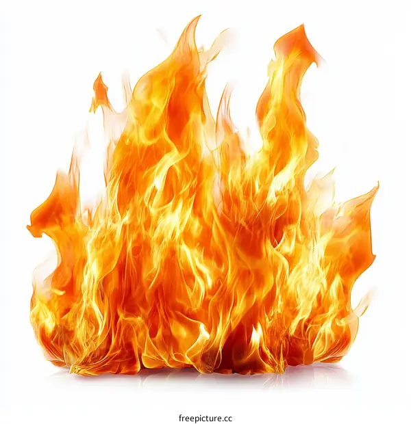 Fiery Flames Isolated on White Background