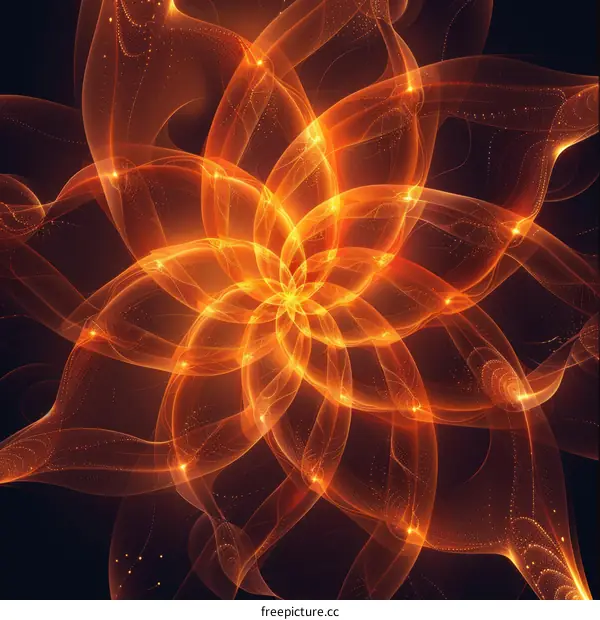 Fireworks Bloom: A Flower in Full Glory