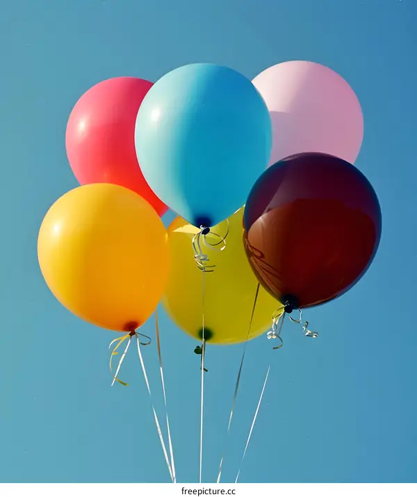 Colorful Balloons Floating in the Blue Sky