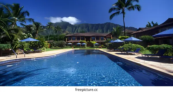 Swimming pool in a tropical setting