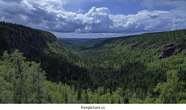 Vast Wilderness Valley Scenic View