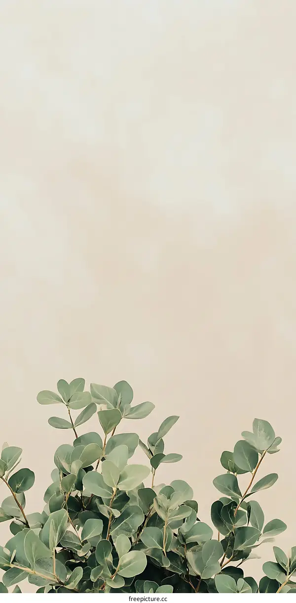 Green Leaves Against a Light Brown Background