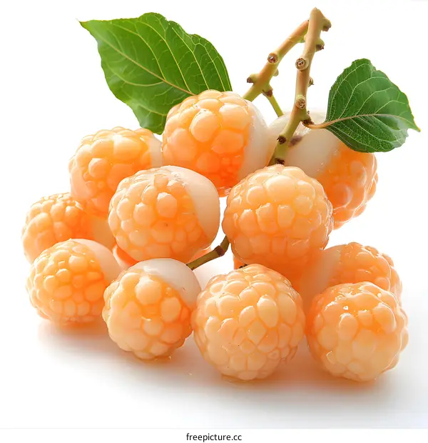 Fresh rambutan fruit with leaves