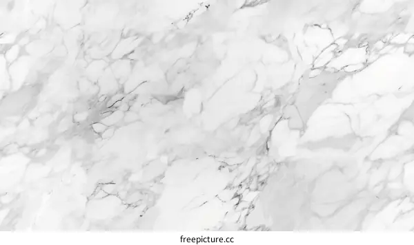 Black and white marble texture background
