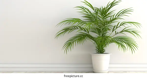 White Wall with Green Palm Plant in White Pot