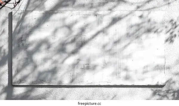 Blank Concrete Wall Panel with Shadowy Branches