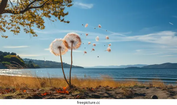 Two white dandelions by the lake with autumn leaves on the ground and mountains in the distance