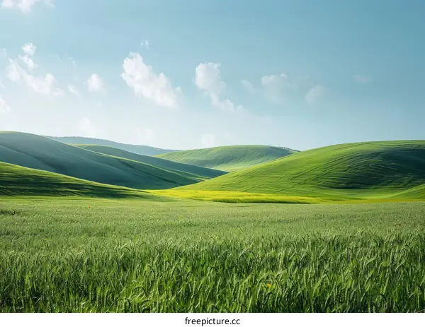 Green rolling hills under blue sky
