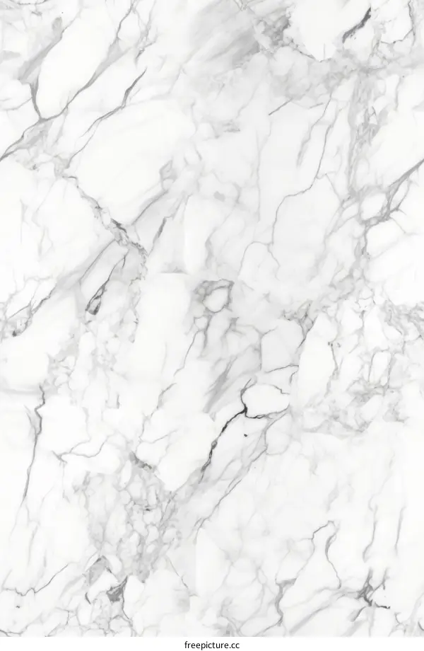 Elegant White Marble Texture