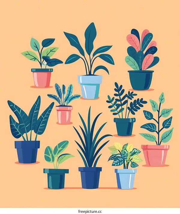 Collection of House Plants in Pots on Orange Background