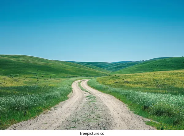 Scenic view of a rural road passing through a lush green valley